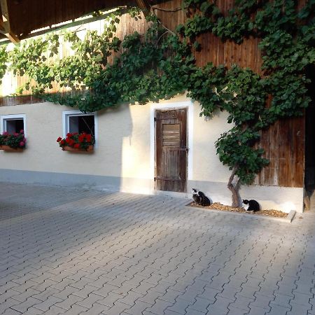 Landhof Ella - Ferienhaus Vor Den Toren Salzburgs Petting Ngoại thất bức ảnh