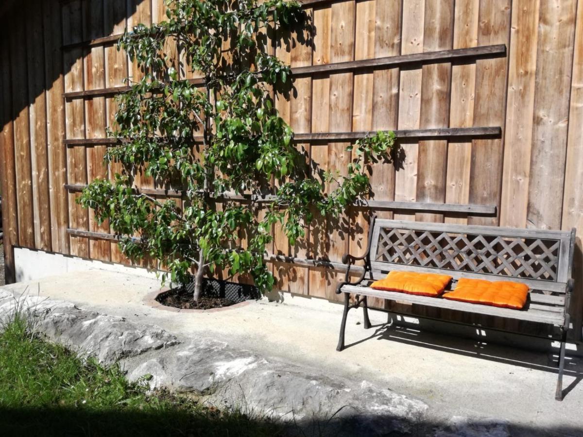 Landhof Ella - Ferienhaus Vor Den Toren Salzburgs Petting Ngoại thất bức ảnh
