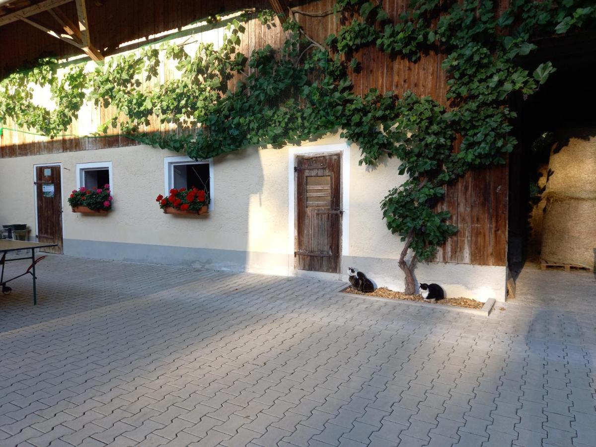 Landhof Ella - Ferienhaus Vor Den Toren Salzburgs Petting Ngoại thất bức ảnh