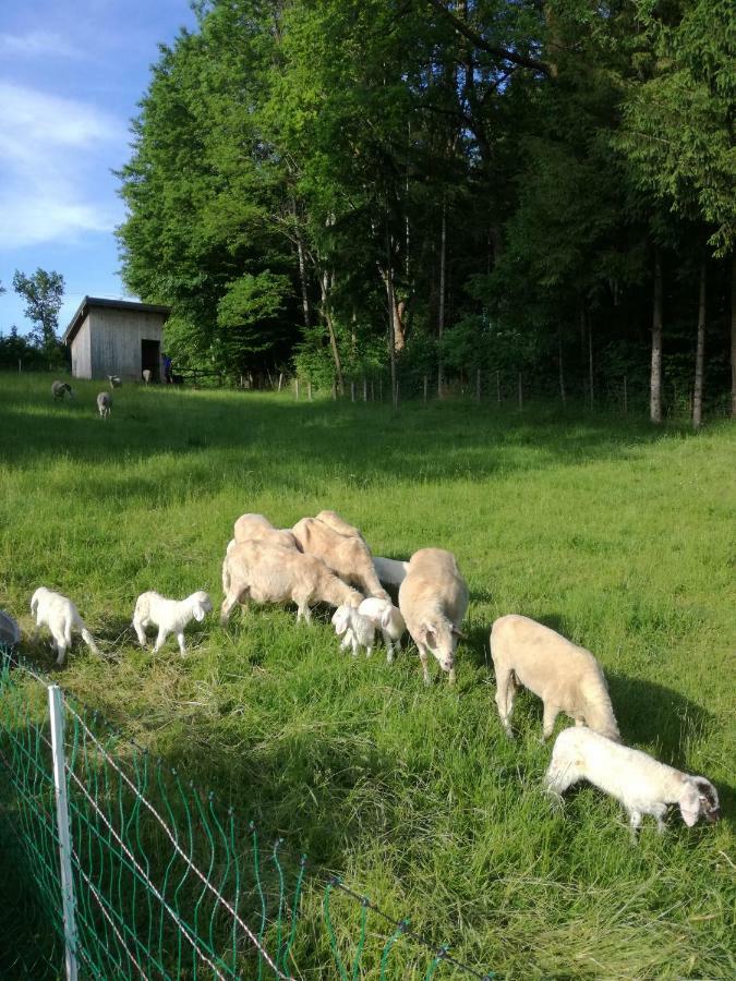 Landhof Ella - Ferienhaus Vor Den Toren Salzburgs Petting Ngoại thất bức ảnh
