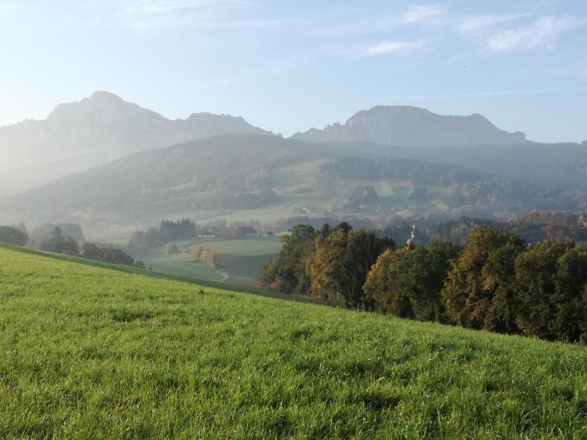 Landhof Ella - Ferienhaus Vor Den Toren Salzburgs Petting Ngoại thất bức ảnh